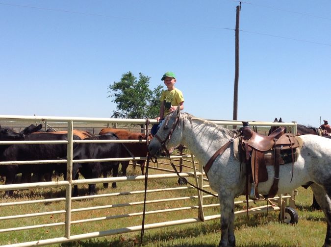 Lambley’s son, Burke, helping on the farm 